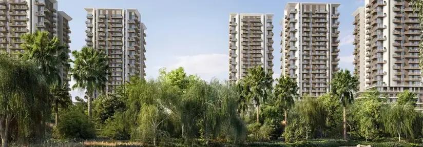 Rise by Athlon ext - 1